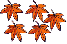 �͂��ς��@�T�@�܂��ł�