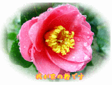 �䂪�Ƃ̒ւł�